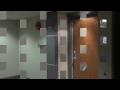 Watch: Lions Video Lions Video