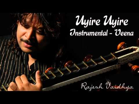 Narumugaiye Narumugaiye (Rajesh Vaidhya on Veena)