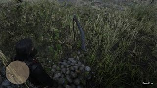 Eagle Flies Grave Location Red Dead Redemption 2