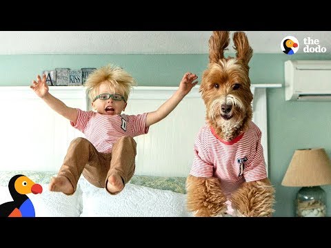 Little Boy And His Dog Became BFFs The Second They Met | The Dodo