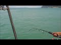 Mancing Jenahak 6kg Pulau Pangkor