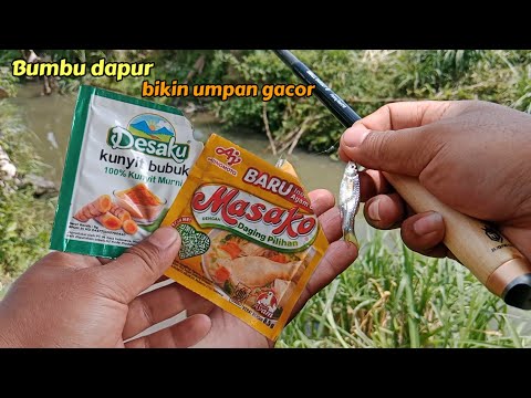 Thought it was just a myth, it turns out that adding this spice makes it even more gacor Thought it was just a myth, it turns out that adding this spice makes it even more gacor