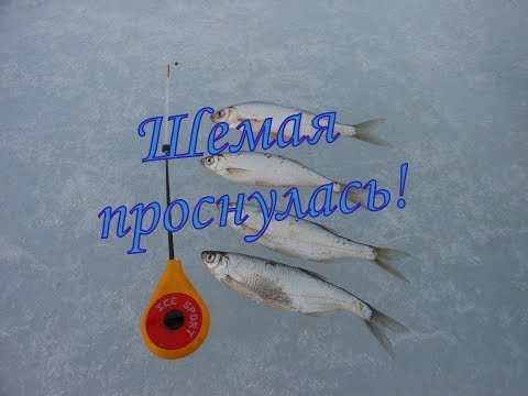 ловля на жерлицы в апреле 2016 ловля на жерлицы в апреле 2016