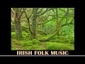 Irish folk music - King of the fairies by Arany Zoltán