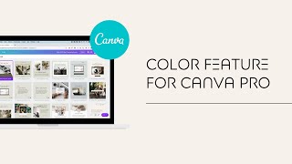Color Feature for Canva PRO