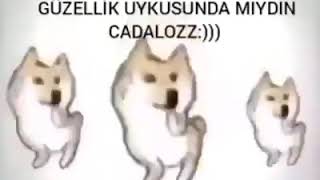 GÜNAYDIN CİMCİME UYANABİLDİN SONUNDA