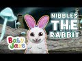 Baby Jake - Nibbles The Bunny Rabbit | Yacki Yacki Yogi | Cartoons for Kids
