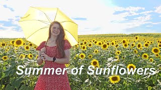 Summer of Sunflowers🌻Burnside Farms -Nokesville, VA☀