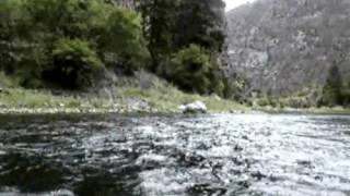 Watch Kate Miller-Heidke River video
