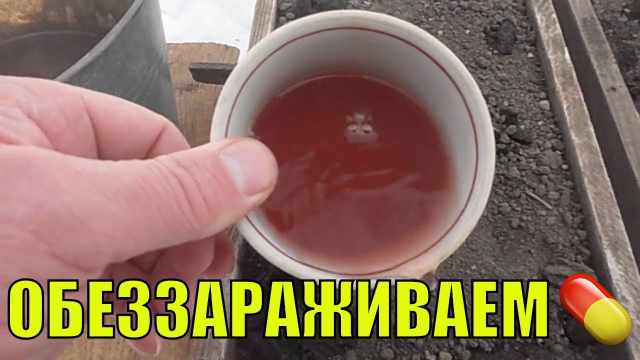 Чем обработать землю для рассады 76
