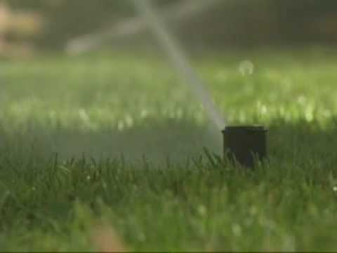 Water Coverage