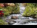 Salvation Poem From Superbook images Salvation Poem From Superbook
