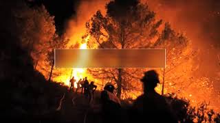 ESTOS SON LOS PRINCIPALES PROBLEMAS QUE AFRONTA LA SELVA AMAZÓNICA.