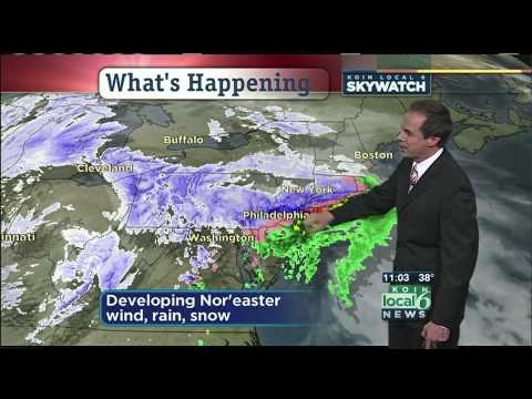 koin weather