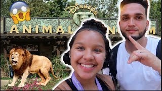 MY 21ST BDAY VLOG | UP CLOSE WITH A GORILLA / ANIMAL KINGDOM