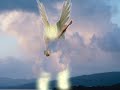 Woman and Red Dragon - Edgar Cayce on the Revelation
