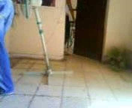 Video Gratis Zoofilia Mujer Pegada Con Perro.html | Auto World