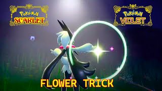 Meowscarada Signature Move - Pokémon Scarlet & Violet