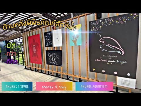 เที่ยวภูเก็ต ชมโรงเพาะสัตว์ด้านหลัง อควาเรียมภูเก็ต| Phuket Travil | Mister D. Vlog EP6(Part2)