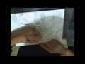 Speed Drawing Bills Slapping Bulma- DragonBall Z: Battle of Gods- ドラゴンボールZ 神と神