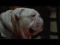 Online Movie The Dogfather (2010) Watch Online