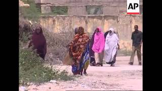Wrap Somali Pm Comment On Weapons Amnesty Adds No Guns Being Handed In