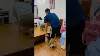 New Bed Lap Sitting Challenge