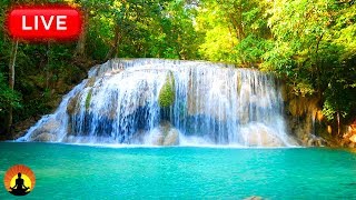 Relaxing Sleep Music 24 7 Deep Sleep Music Peaceful Music Sleep Relaxing Sleep Music 24 7 Deep Sleep Music Peaceful Music Sleep