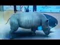 7d Hologram Technology Amazing Show In Dubai