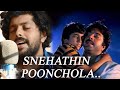 ethamruthum tholkkum | Snehathin Poonchola cover | Malayalam Cover songs | Patrick Michael