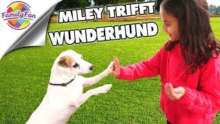 MILEY TRIFFT WUNDERHUND ? NEUER NACHWUCHS bei Family Fun