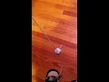 Marc Shepard's physics project