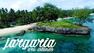 Aru Islands (Jargaria)