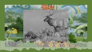 The Experiment Podcast The Zone Of Death In Yellowstone Where Murder Might Be Legal
