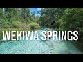 Wekiwa Springs -Apopka FL