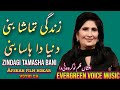 Zindagi Tamasha Bani | Afshan song | Punjabi song | remix song | jhankar song | sad song | best song