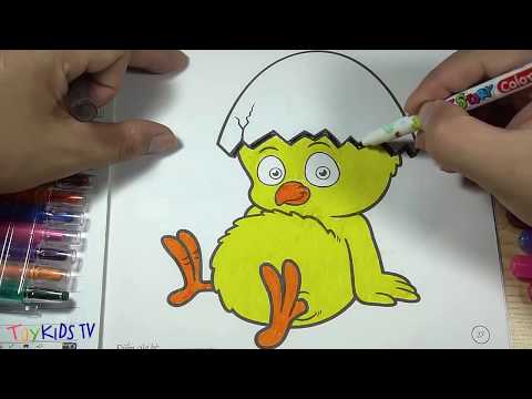 Coloring Chick - Color for Kids - Tô Màu Cho Bé - Tô Màu chú Gà Con Toykids TV