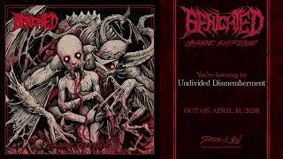 Watch Benighted Undivided Dismemberment video