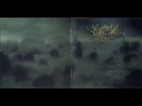 A Revelation In Solitude Video