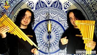 Escuela Raíces - Área Instrumental Vientos