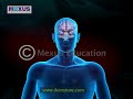 Human Brain Animation | Learn Anatomy Of Human Brain