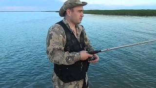 когда откроется рыбалка на балхаше когда откроется рыбалка на балхаше