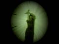Pon Farr - Symptoms - Article Index Pon Farr - Symptoms - Article Index