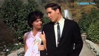 Watch Elvis Presley A Whistling Tune video