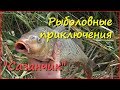 Рыболовные приключения. Сазанчик. Рыболовные приключения. Сазанчик.