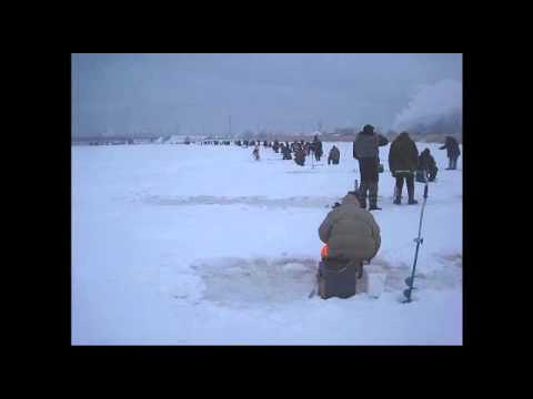 где клевало в латвии где клевало в латвии