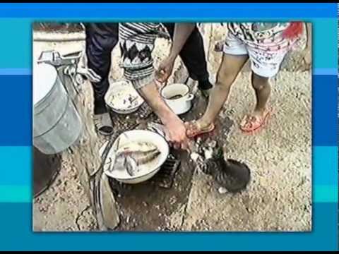 видео приколы на рыбалке 2015 ютуб видео приколы на рыбалке 2015 ютуб