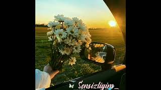 Whatsapp Statuslari 2022 Sounds App Menali Sevgi Statuslari Qemli Videolar 2022