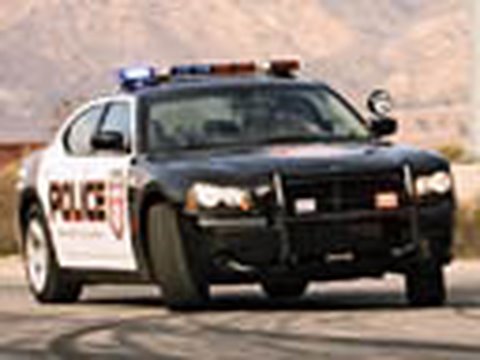 Police Does Everyone Stare