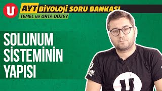 AYT Biyoloji Temel ve Orta Düzey Seans #17 / Solunum Sisteminin Yapısı